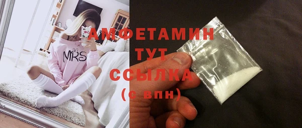 сатива Магас