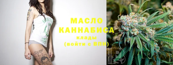 сатива Магас