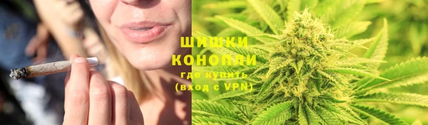 сатива Магас