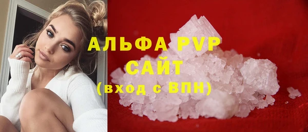 ECSTASY Майский
