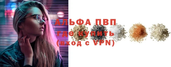 сатива Магас