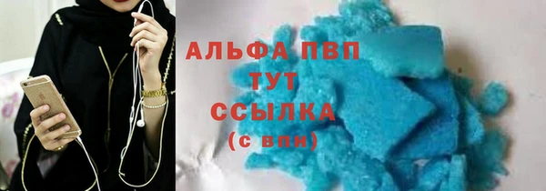 ECSTASY Майский