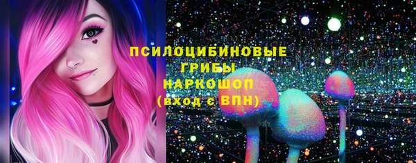 сатива Магас