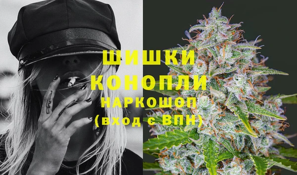 сатива Магас