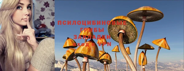 сатива Магас