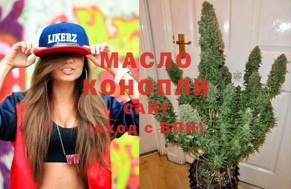 сатива Магас